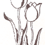 tulipes.png