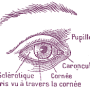 yeux.png